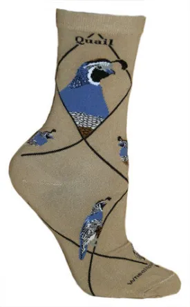 Wheel House Designs Quail on Khaki Sock